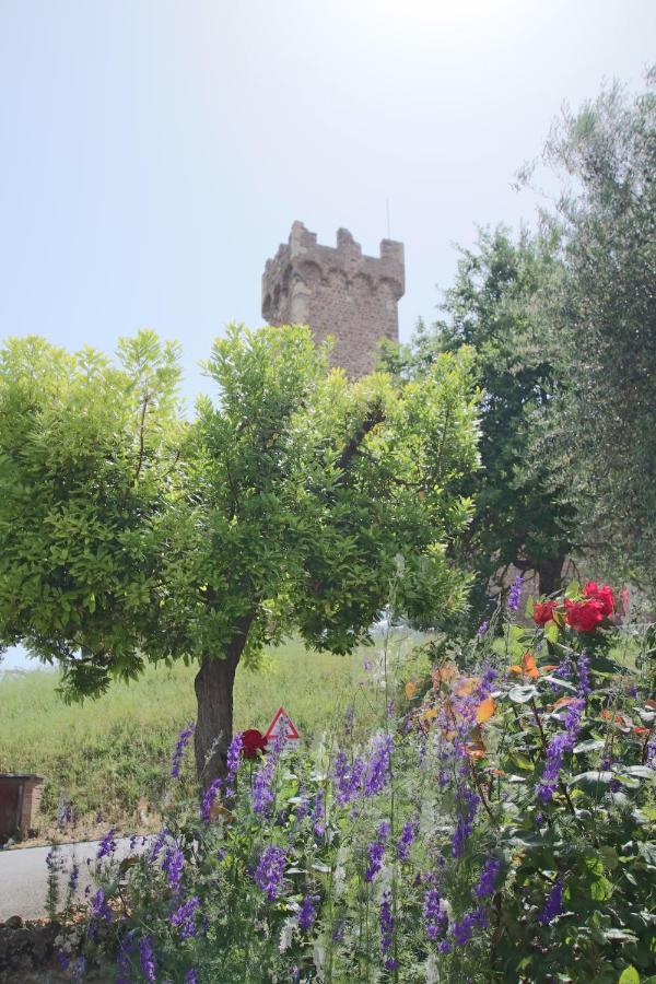 Casa Costa Delle Caserme Montalcino Exterior foto